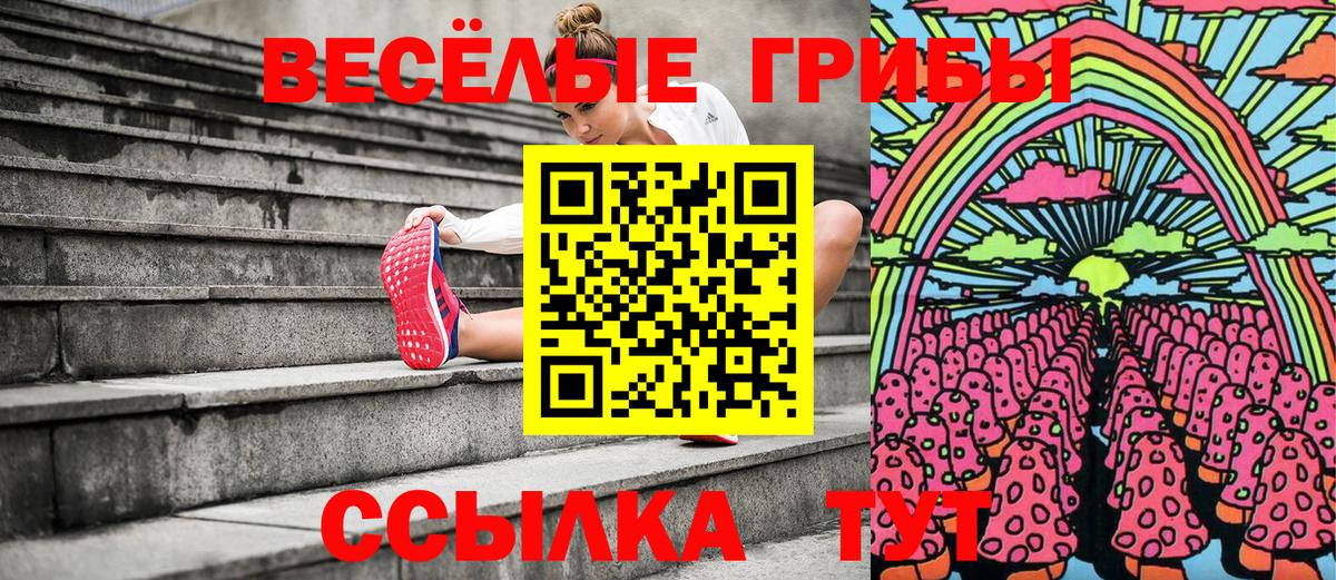 Галлюциногенные грибы Psilocybe Торжок