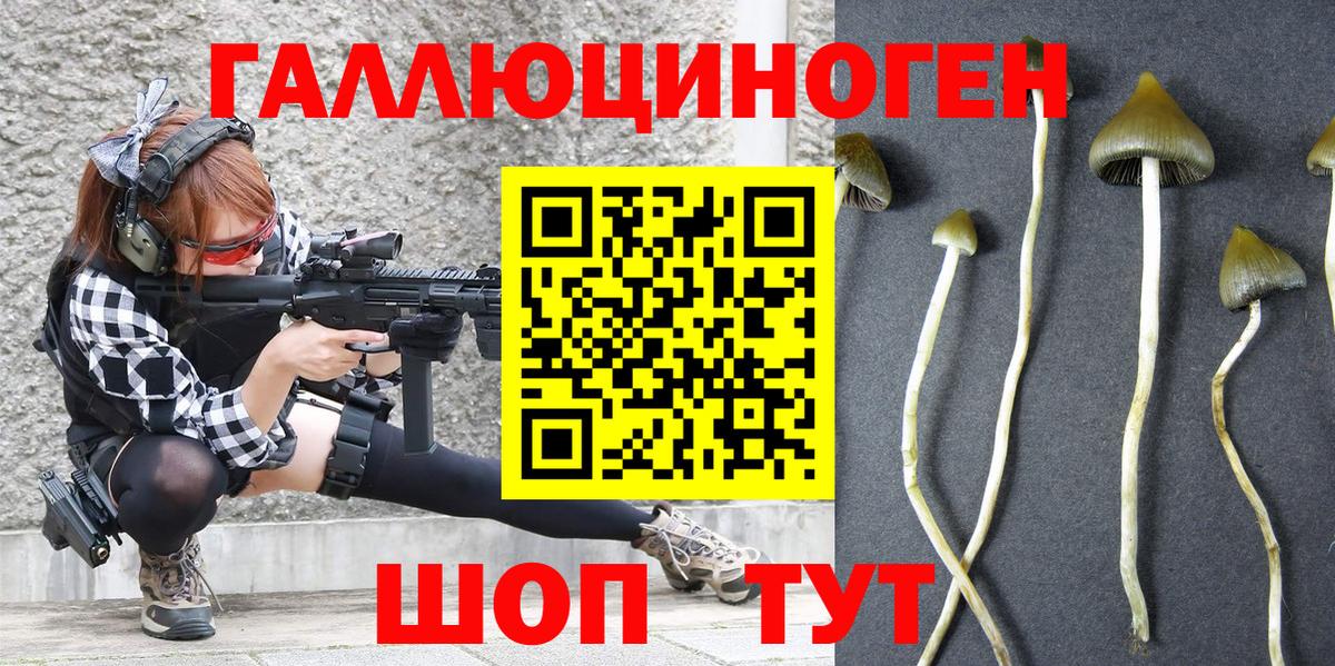 купить закладку  Галлюциногенные грибы Psilocybe  Вход с VPN  Торжок 