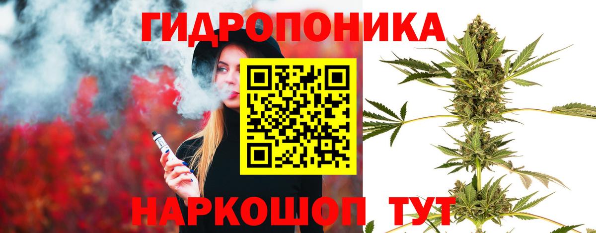 Канабис семена Торжок